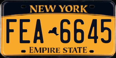 NY license plate FEA6645