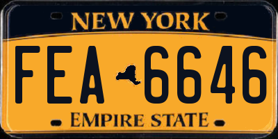 NY license plate FEA6646