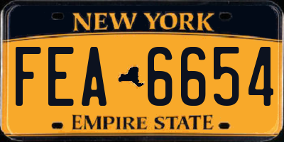 NY license plate FEA6654