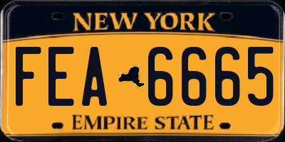 NY license plate FEA6665