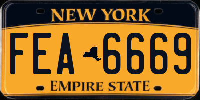 NY license plate FEA6669