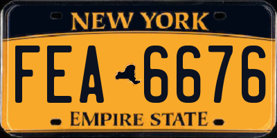 NY license plate FEA6676
