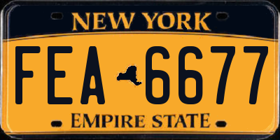 NY license plate FEA6677