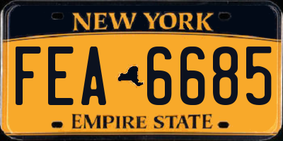 NY license plate FEA6685