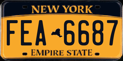 NY license plate FEA6687
