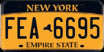NY license plate FEA6695