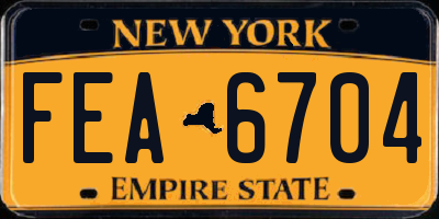 NY license plate FEA6704