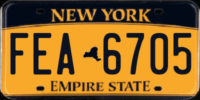 NY license plate FEA6705