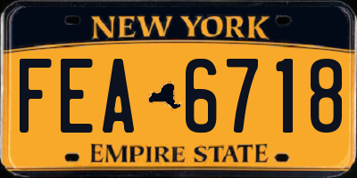 NY license plate FEA6718