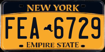NY license plate FEA6729