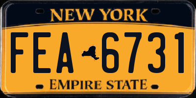 NY license plate FEA6731