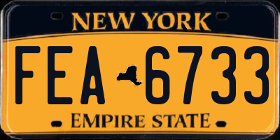 NY license plate FEA6733