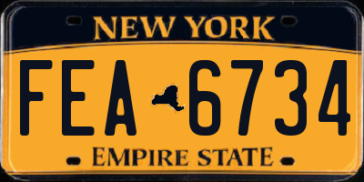 NY license plate FEA6734