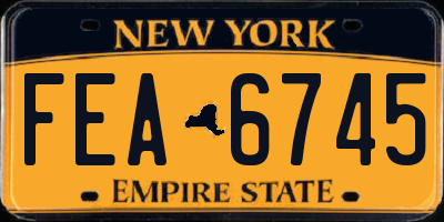 NY license plate FEA6745