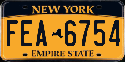 NY license plate FEA6754