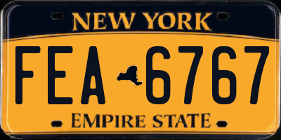 NY license plate FEA6767