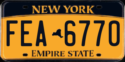 NY license plate FEA6770