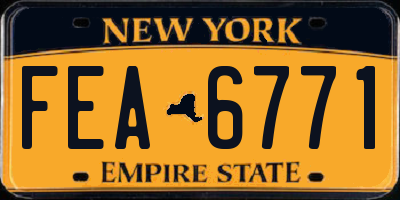 NY license plate FEA6771