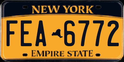 NY license plate FEA6772