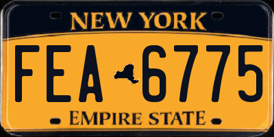 NY license plate FEA6775