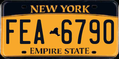 NY license plate FEA6790