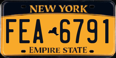NY license plate FEA6791