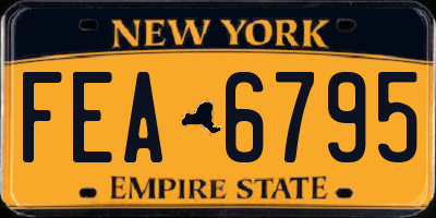 NY license plate FEA6795
