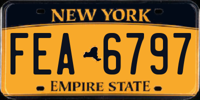 NY license plate FEA6797