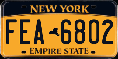 NY license plate FEA6802