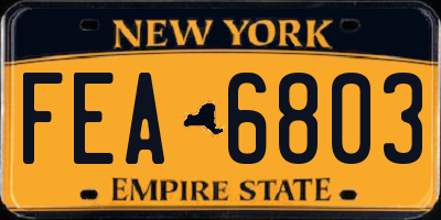 NY license plate FEA6803
