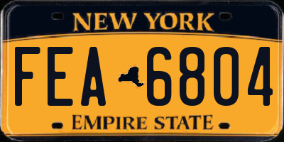 NY license plate FEA6804