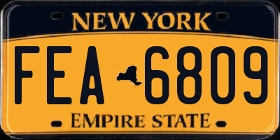 NY license plate FEA6809
