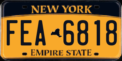 NY license plate FEA6818