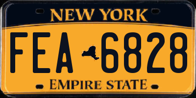 NY license plate FEA6828