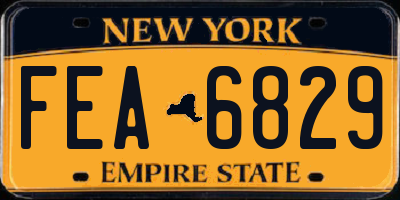 NY license plate FEA6829