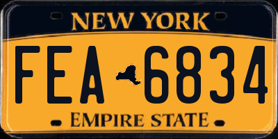 NY license plate FEA6834