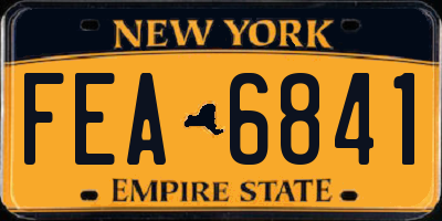 NY license plate FEA6841