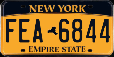 NY license plate FEA6844