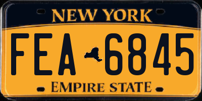 NY license plate FEA6845