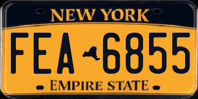 NY license plate FEA6855