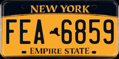 NY license plate FEA6859