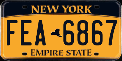 NY license plate FEA6867