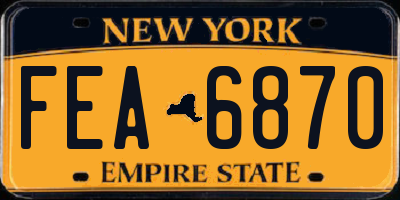 NY license plate FEA6870