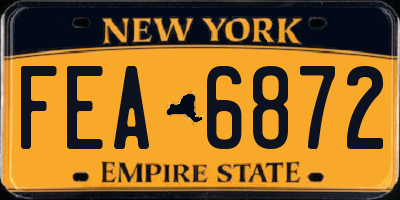 NY license plate FEA6872