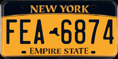 NY license plate FEA6874