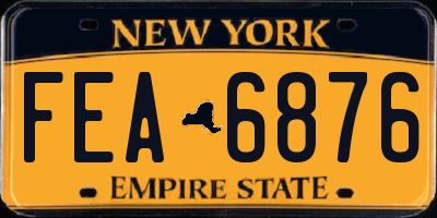 NY license plate FEA6876