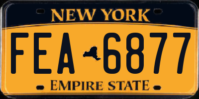NY license plate FEA6877