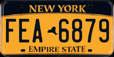 NY license plate FEA6879