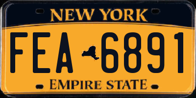 NY license plate FEA6891