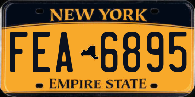 NY license plate FEA6895